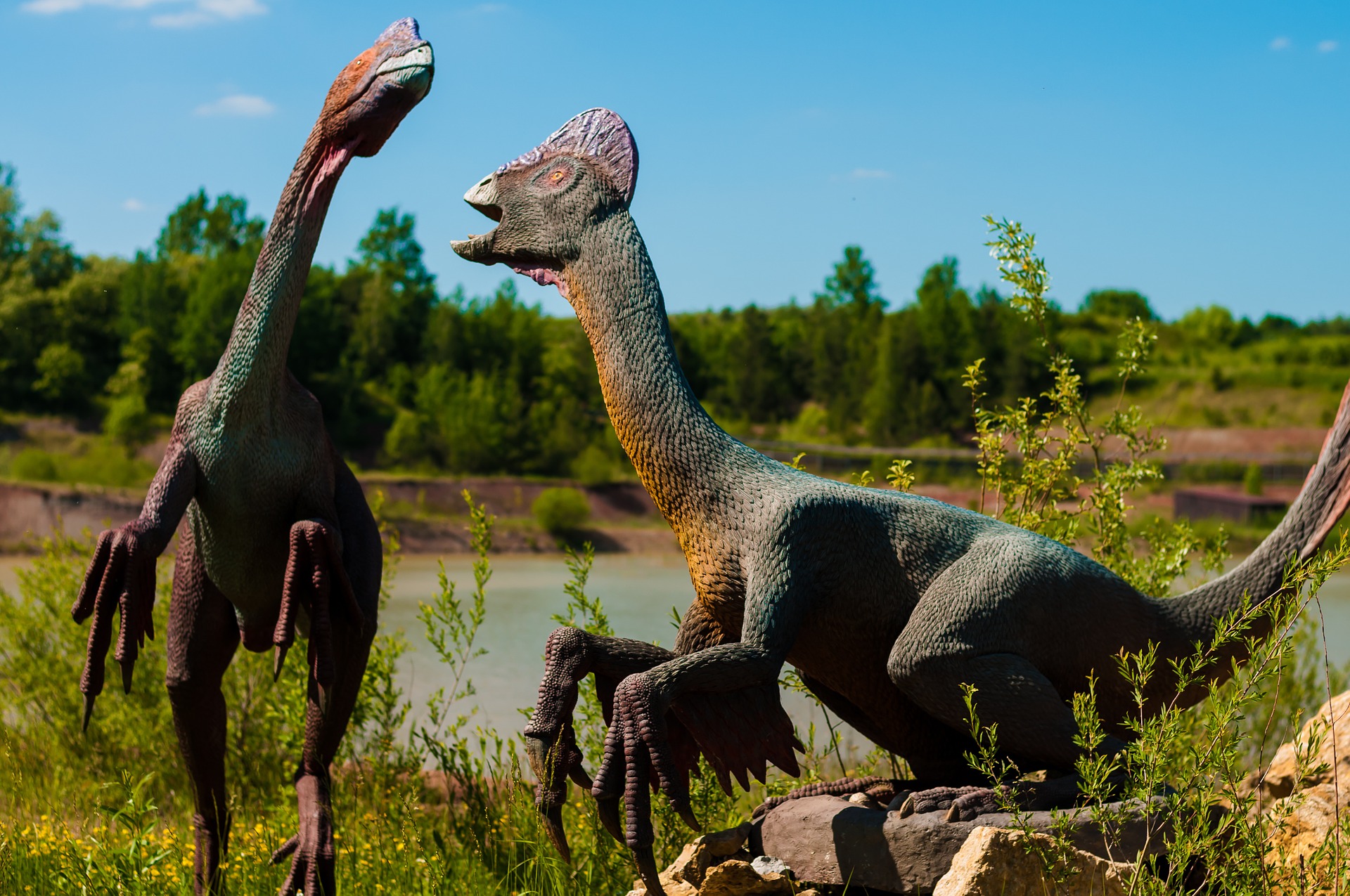 dinosaur